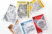ネコ切手6種セット｜ブルガリア（外国切手・古切手）