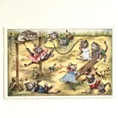 未使用アンティークポストカード｜公園で遊ぶネコ