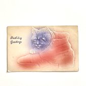 アンティークポストカード｜靴とネコ 