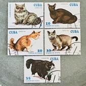 まとめ品6740 外国切手 Jersey 1994年 猫 切手 5枚セット 猫切手5種セット キューバ 1994年（外国切手・古切手