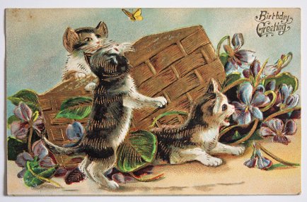 アンティークポストカード｜猫と花籠と蝶 - 新しいもの、古いもの