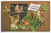 アンティークポストカード 2匹のネコと小鳥と柊 クリスマス｜アメリカ