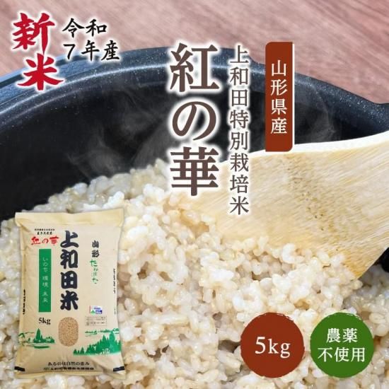 ڿơӿ建þ޼ Ի Ȥβ  ҥ긼 (5kg / 7ǯ) ļȤǰȻ̣˭ʤ
