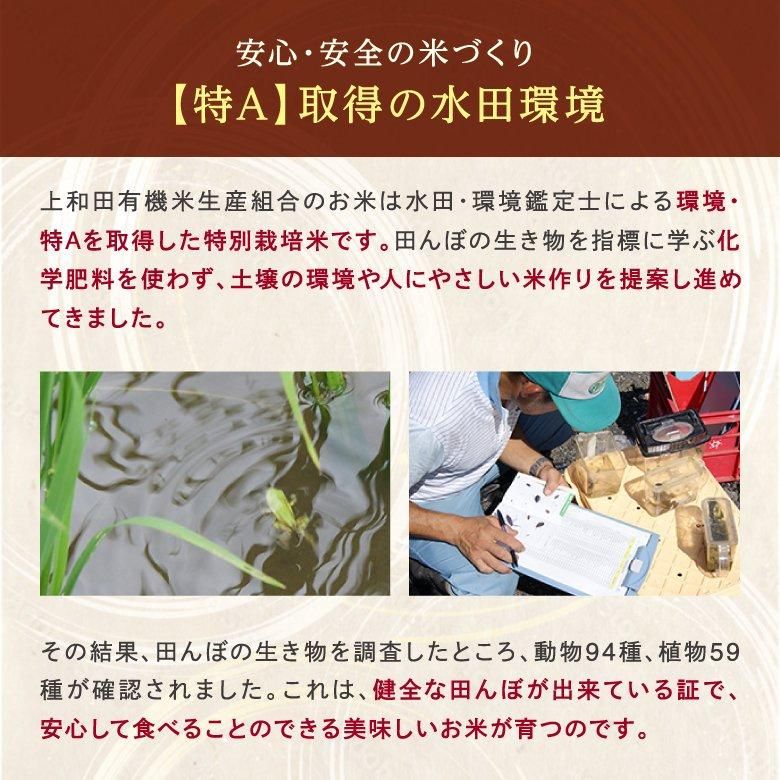 新米】農林水産大臣賞受賞 山形県産 コシヒカリ玄米 (5kg / 令和 新米】農林水産大臣賞受賞 山形県産 コシヒカリ玄米 (5kg / 令和