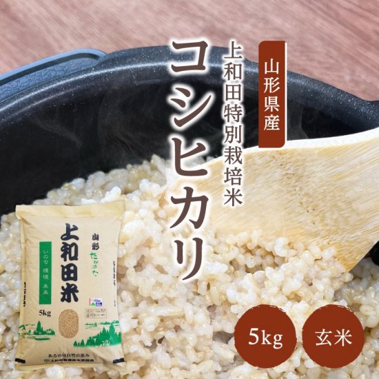 山形県産 コシヒカリ 玄米 5kg 令和5年産 特A米 減農薬 特別栽培米 上和田米