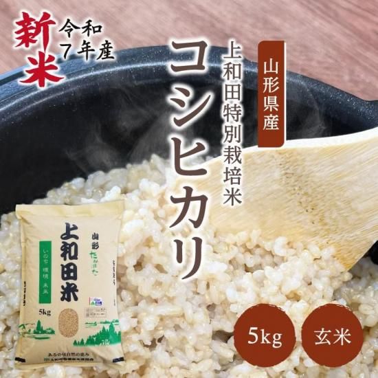 ڿơӿ建þ޼  ҥ긼 (5kg / 7ǯ) ļȤǰȻ̣˭ʤ
