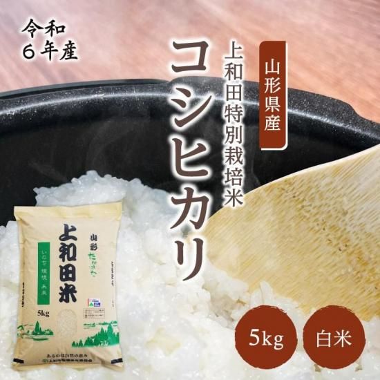 ӿ建þ޼  ҥ (5kg / 6ǯ) ļȤǰȻ̣˭ʤ