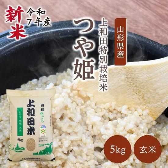 ڿơӿ建þ޼  Ĥɱ (5kg / 7ǯ) ļȤǰǴŤߤΤ뤪