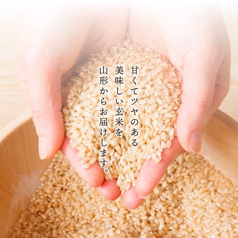 山形の美味しいお米 黒澤ファームつや姫3kg | 令和5年産 金賞