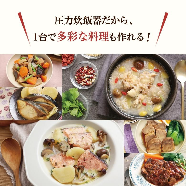 超お手頃 NDK 日本電子工業 発芽・炊飯電子ジャー IH-0640 6合 圧力 