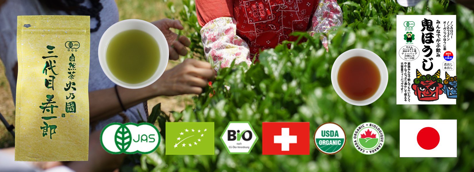 完全無農薬 無化学肥料栽培のお茶を飲むなら｜お茶の通販 お茶cha本舗 