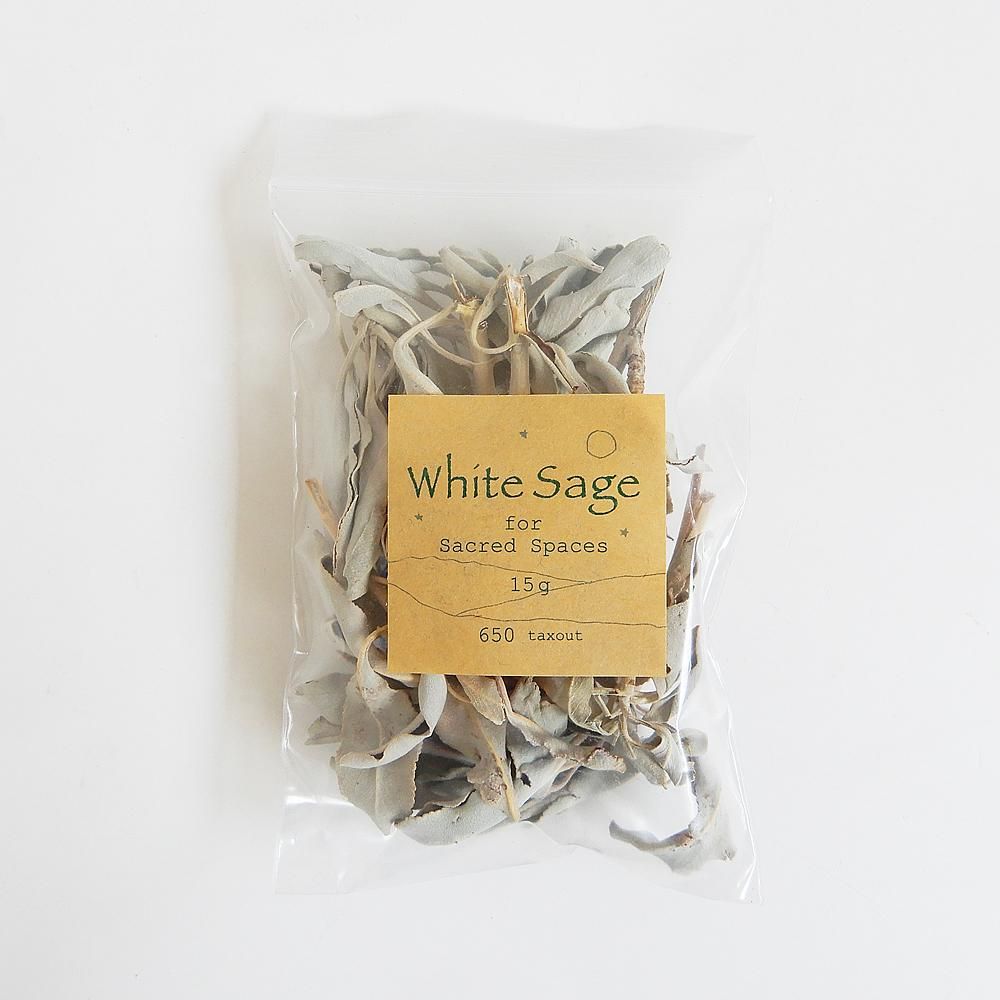 white sage ꡼