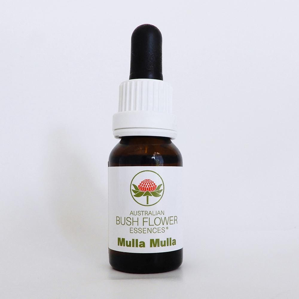 <img class='new_mark_img1' src='https://img.shop-pro.jp/img/new/icons13.gif' style='border:none;display:inline;margin:0px;padding:0px;width:auto;' />Australian Bush Flower Essences 