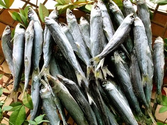 ウルメいわし丸干し 1袋 100g 伊勢志摩 昔ながらの手作り無添加干物の通信販売 ぴちぴちひもの ウルメいわし丸干し 1袋 100g 伊勢志摩 昔ながらの手作り無添加干物の通信販売 ぴちぴちひもの