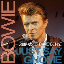 David Bowie(デヴィッド・ボウイ)/JUST SAY GNOME 【2CD】 - コレクターズCD, DVD, & others,  TEENAGE DREAM RECORD 3rd