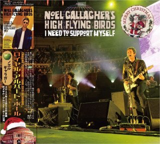 Noel Gallagher(ノエル・ギャラガー)/ I NEED TO SUPPORT MYSELF 2015 【2CD】 - コレクターズCD,  DVD, & others, TEENAGE DREAM RECORD 3rd