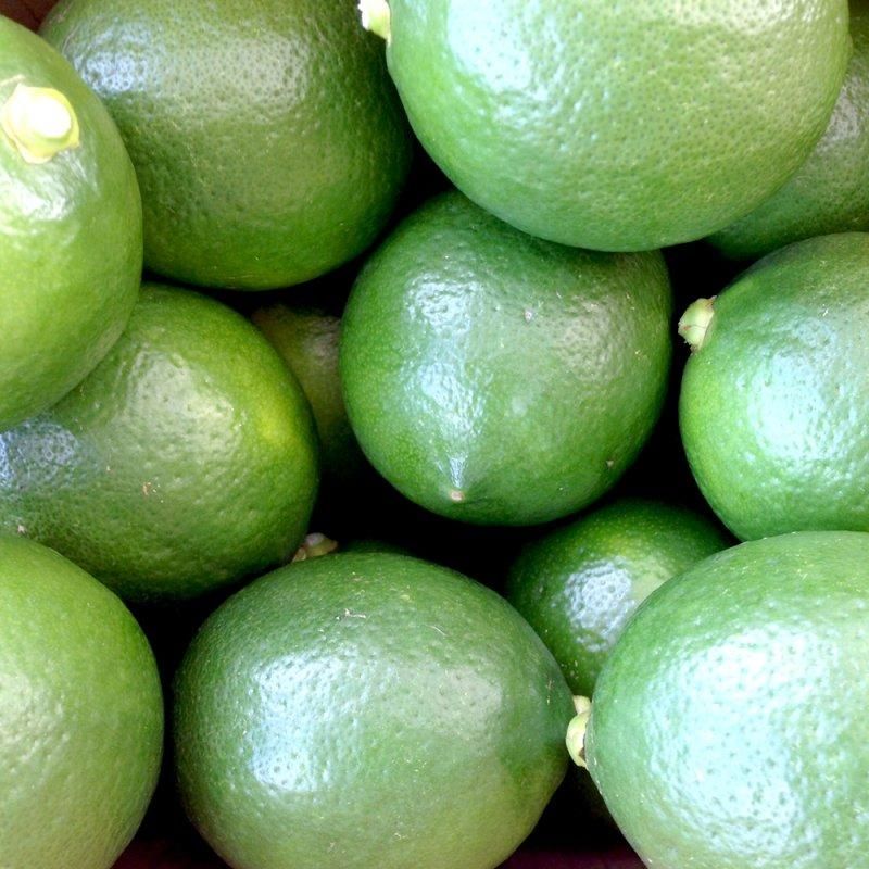 国産レモン-マイヤーレモン(1kg) - 兵庫県淡路島みかん狩り＆レモン