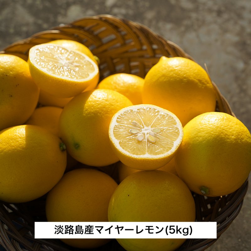 国産レモン-マイヤーレモン　(5kg)　兵庫県淡路島みかん狩り＆レモン狩りの平岡農園