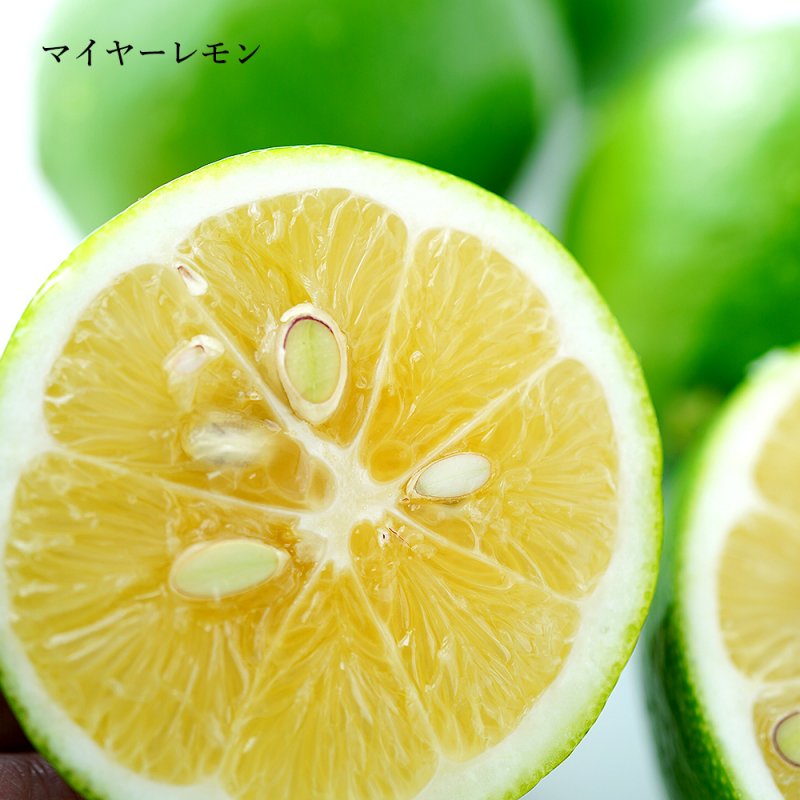 国産レモン-マイヤー＆アレン詰合せセット (1kg) - 兵庫県淡路島みかん
