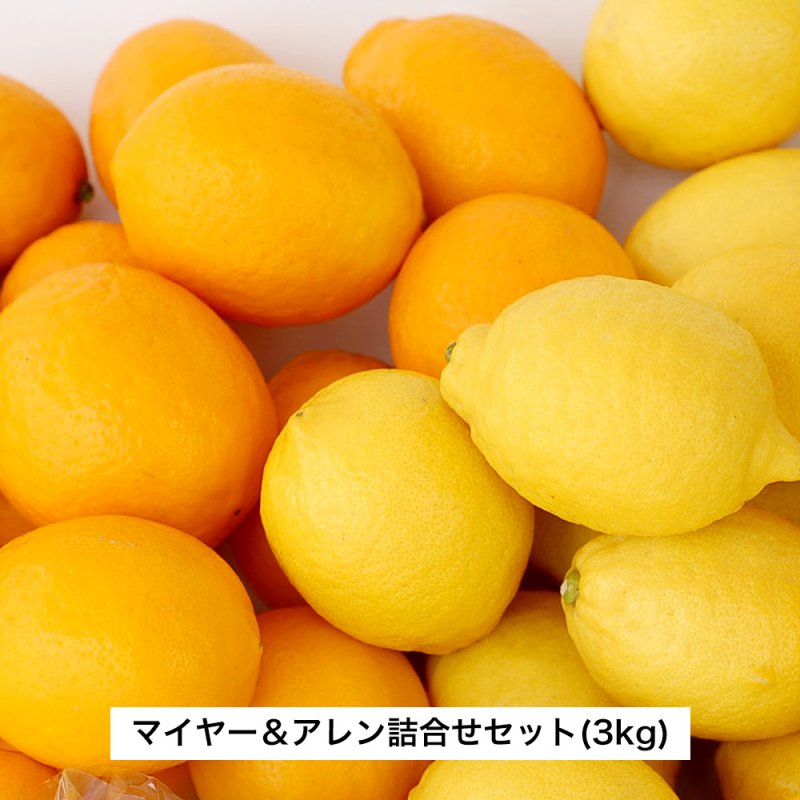 国産レモン-マイヤー＆アレン詰合せセット (3kg) - 兵庫県淡路島みかん