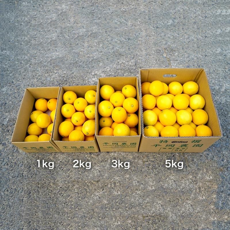 国産レモン-マイヤーレモン(2kg) - 兵庫県淡路島みかん狩り＆レモン