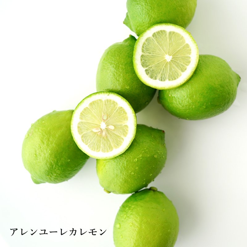 国産レモン-マイヤー＆アレン詰合せセット (5kg) - 兵庫県淡路島みかん