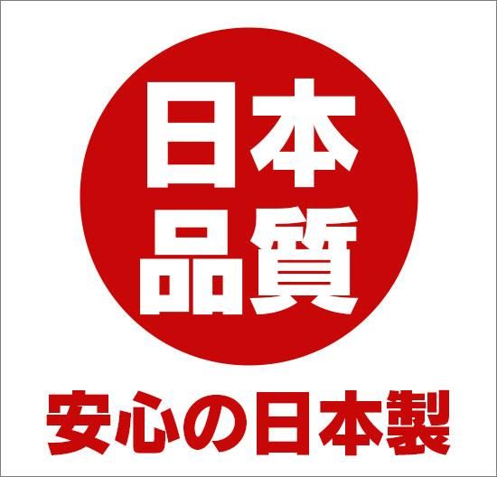 心の栄養療法・高濃度ビタミンB群 神経伝達物質生成 ドクター