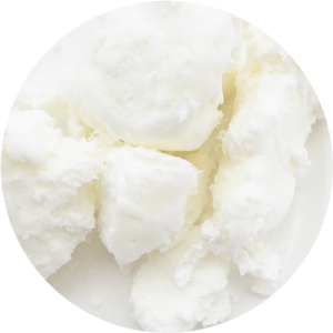 有機シアバター 精製シアバター Shea Butter Organic 精油 ハーブ アロマクラフト基材 ミセス ヒロコ アロマショップ R