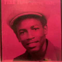 Wayne Wade / Fire Fire - 西新宿レゲエショップナット / Reggae