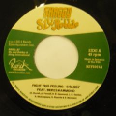 Shaggy/Beres Hammond-Fight This Feeling