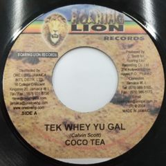 レゲエ GAL GONE リディム 7枚