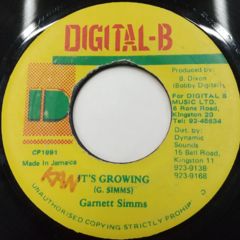 Garnet Silk / It's Growing - 西新宿レゲエショップナット / Reggae Shop NAT