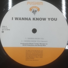 Pushim - I Wanna Know You / DANCEHALLIC - 邦楽