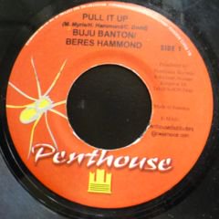 Buju Banton & Beres Hammond / Pull It Up - 西新宿レゲエショップ