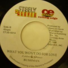 BUSHMAN / WHAT YOU WON'T DO FOR LOVE - 洋楽