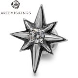ARTEMIS KINGS / アルテミスキングス　Stardust Pierce / スターダストピアス　AKE0099
