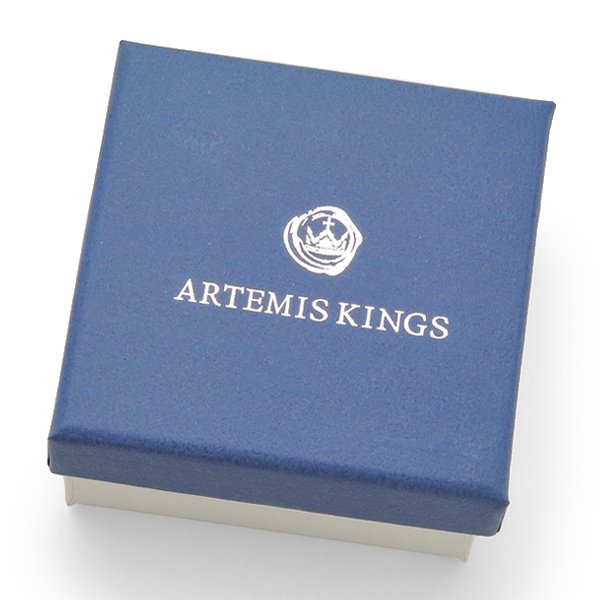 ARTEMIS KINGS / アルテミスキングス Crown Catch Stud Pierce
