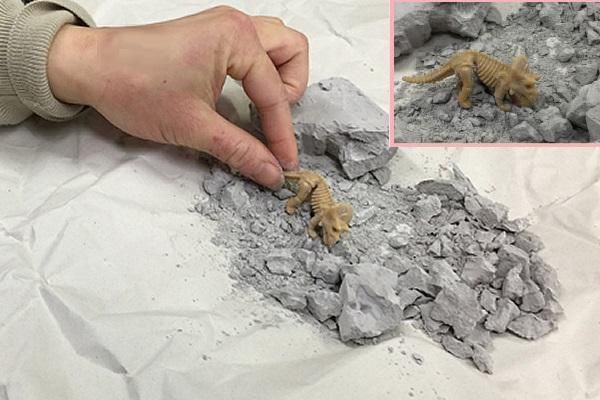 恐竜発掘キット 工作キット専門店のイベントバザール 恐竜発掘キット 工作キット専門店のイベントバザール