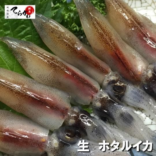 山陰 城崎温泉 鮮魚てらかわ