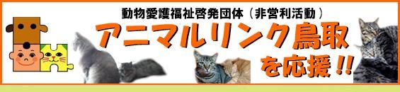 ˥ޥĻ