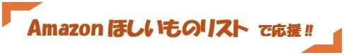 Amazonほしいものリスト