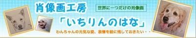 いちりんのはな