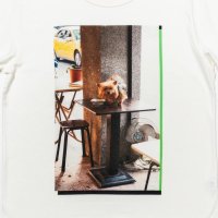 Table Dog photography by Reiko Toyama designed by Satoshi Suzuki