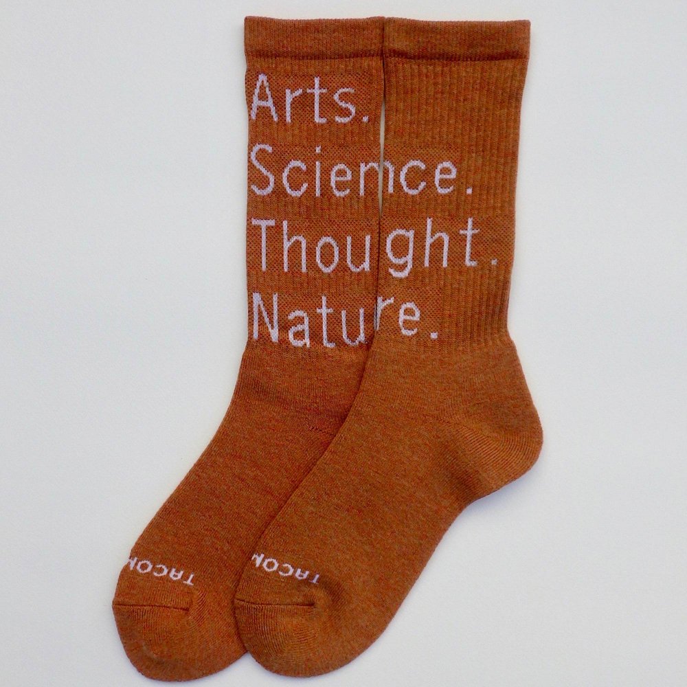 A.S.T.N. SOCKS by MY LOADS ARE LIGHT - TACOMA FUJI RECORDS ONLINE 