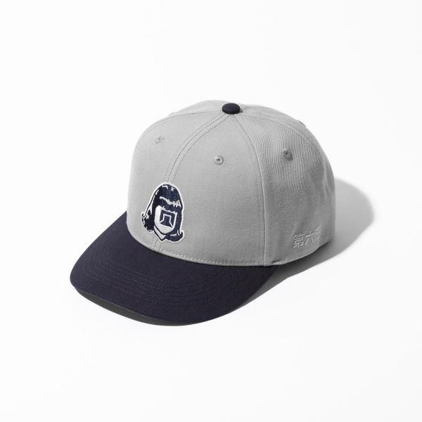 TACOMA FUJI ϻ CAP 25