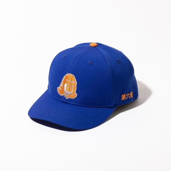 TACOMA FUJI ϻ CAP 25