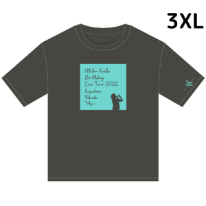 <img class='new_mark_img1' src='https://img.shop-pro.jp/img/new/icons13.gif' style='border:none;display:inline;margin:0px;padding:0px;width:auto;' />【Tシャツ】UK バースデーライヴ ツアー2022（ダークチャコール）3XL
