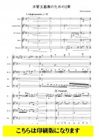 【木管5重奏】木管五重奏のための2章（岩村雄太）