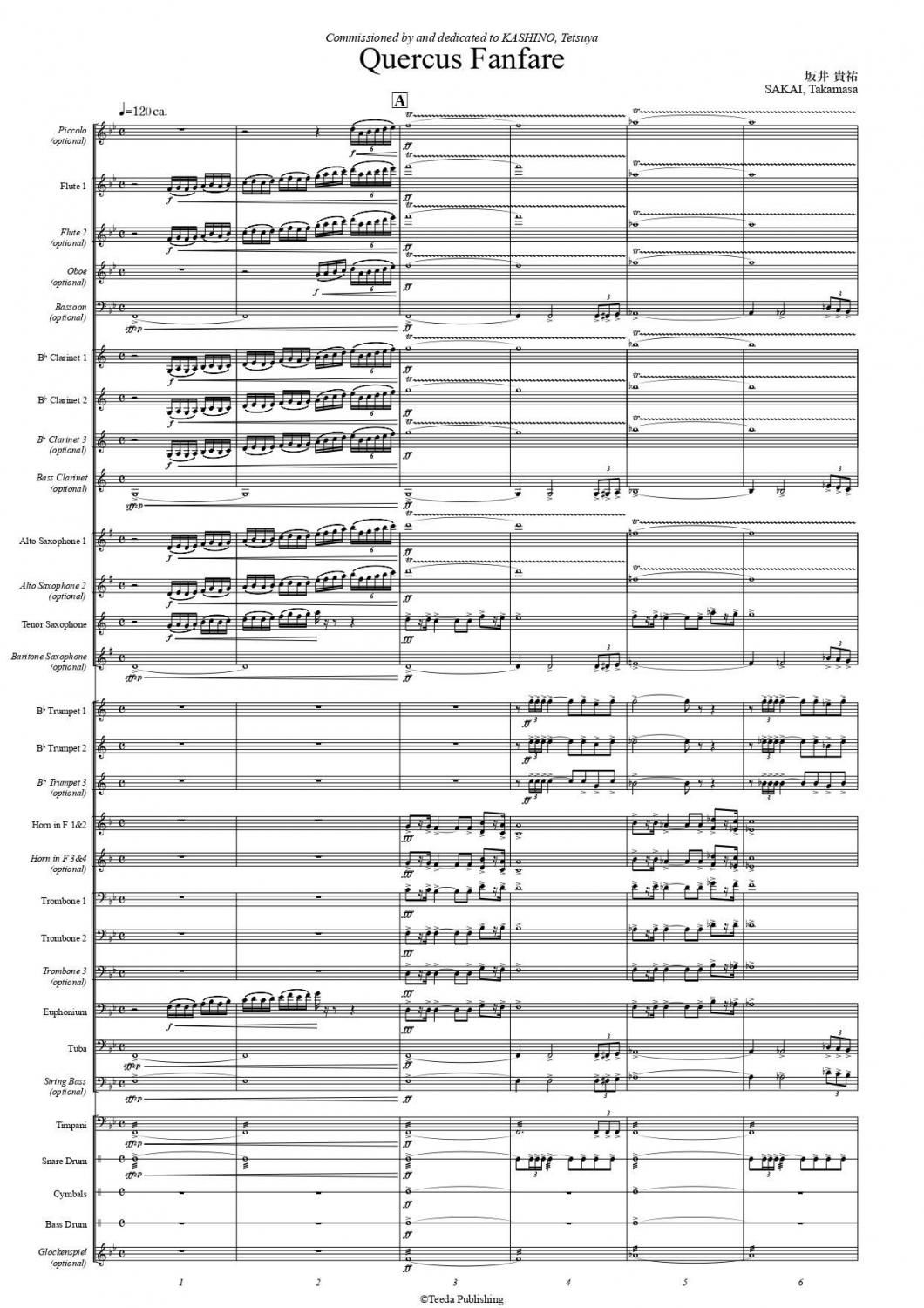 ڿճ/ꥸʥQuercus Fanfare / Quercus Marchʺ浮ʹ<img class='new_mark_img2' src='https://img.shop-pro.jp/img/new/icons15.gif' style='border:none;display:inline;margin:0px;padding:0px;width:auto;' />