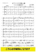 【インターチェンジャブル4重奏】ピアノソナタ第11番 (トルコ行進曲付き) より（モーツァルト/西大樹）
